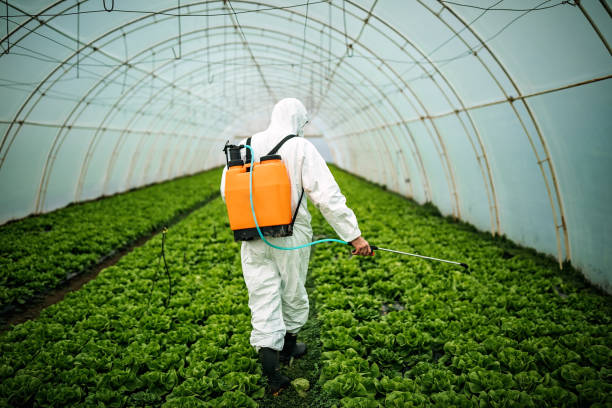 Best Pest Removal Services  in La Honda, CA