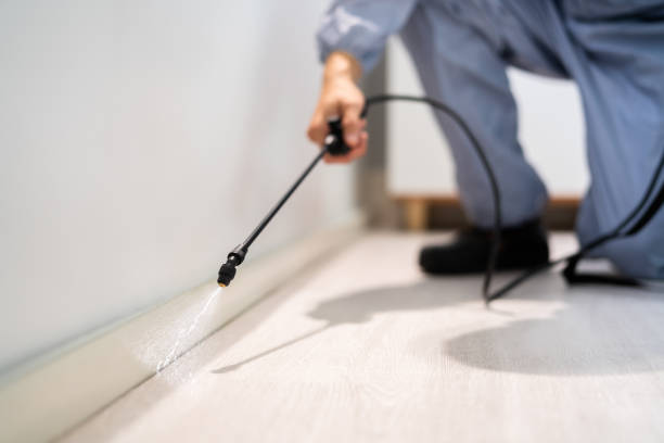 Pest Control Cost in La Honda, CA