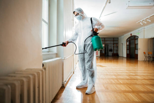 Best Local Pest Control Services  in La Honda, CA