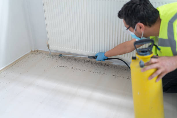 Best Pest Control Near Me  in La Honda, CA